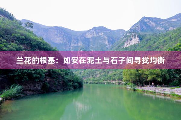 兰花的根基：如安在泥土与石子间寻找均衡