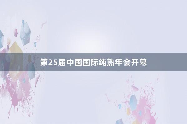 第25届中国国际纯熟年会开幕