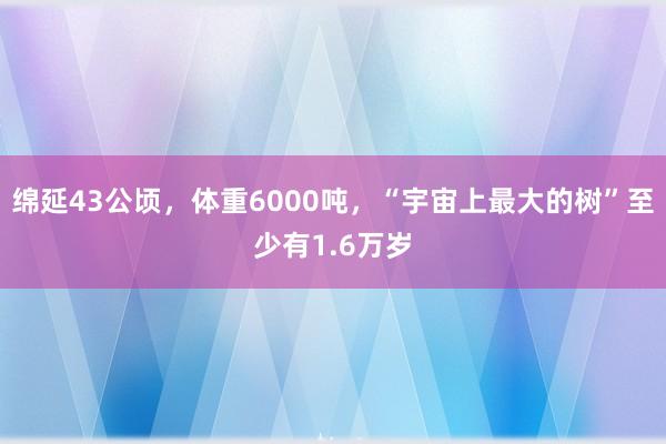 绵延43公顷，体重6000吨，“宇宙上最大的树”至少有1.6万岁